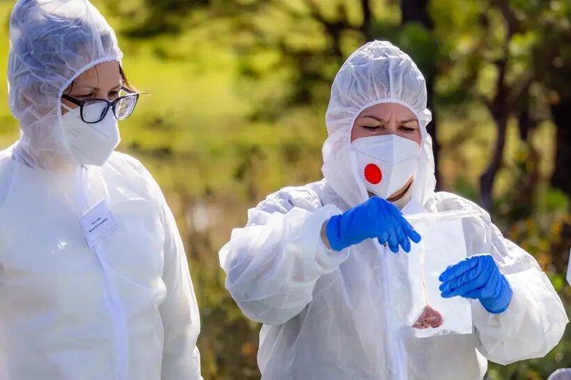     © Дмитрий Кандинский