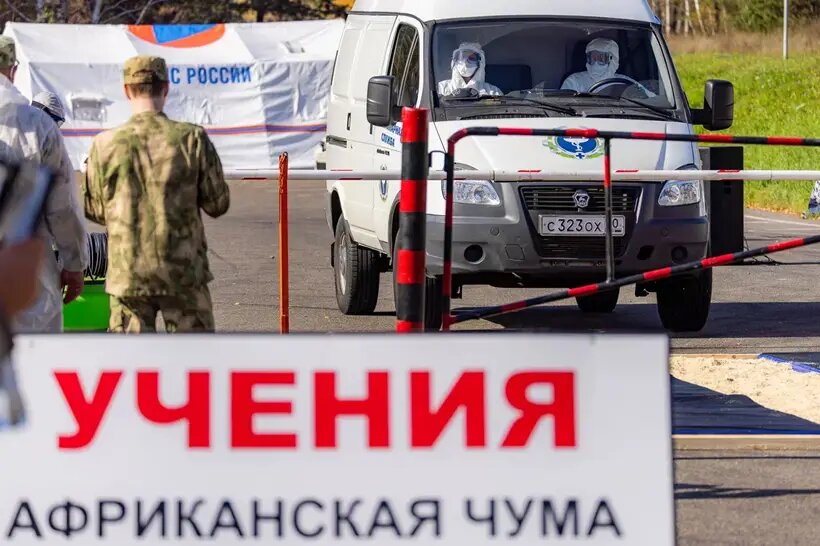    © Дмитрий Кандинский