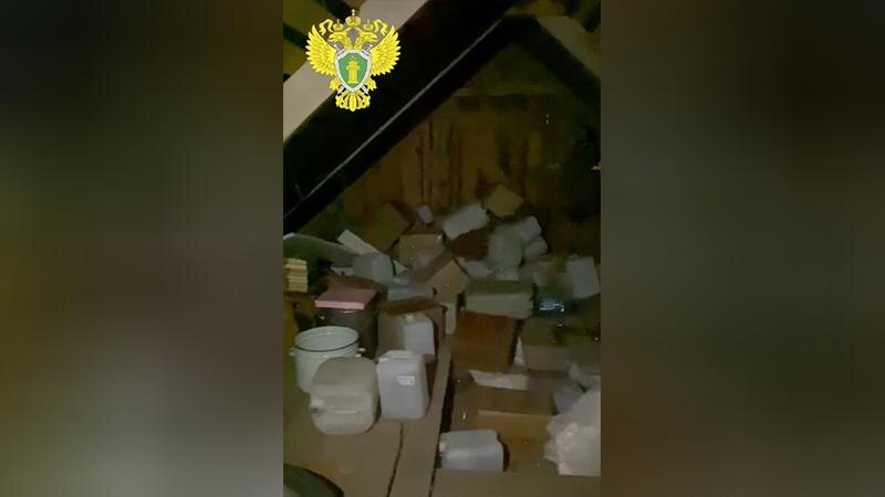    Фото: t.me/prok_lenobl