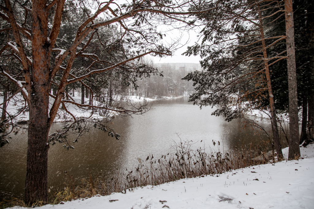    Дождь, переходящий в метель: Нижневартовск встретил первый снег