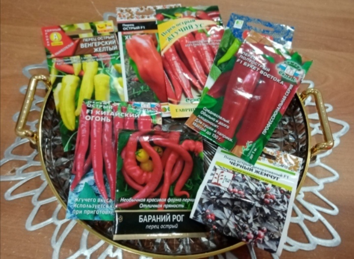 острые перцы сезон 2025/фото автора 
