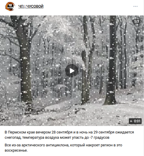 Прогноз неутешительный