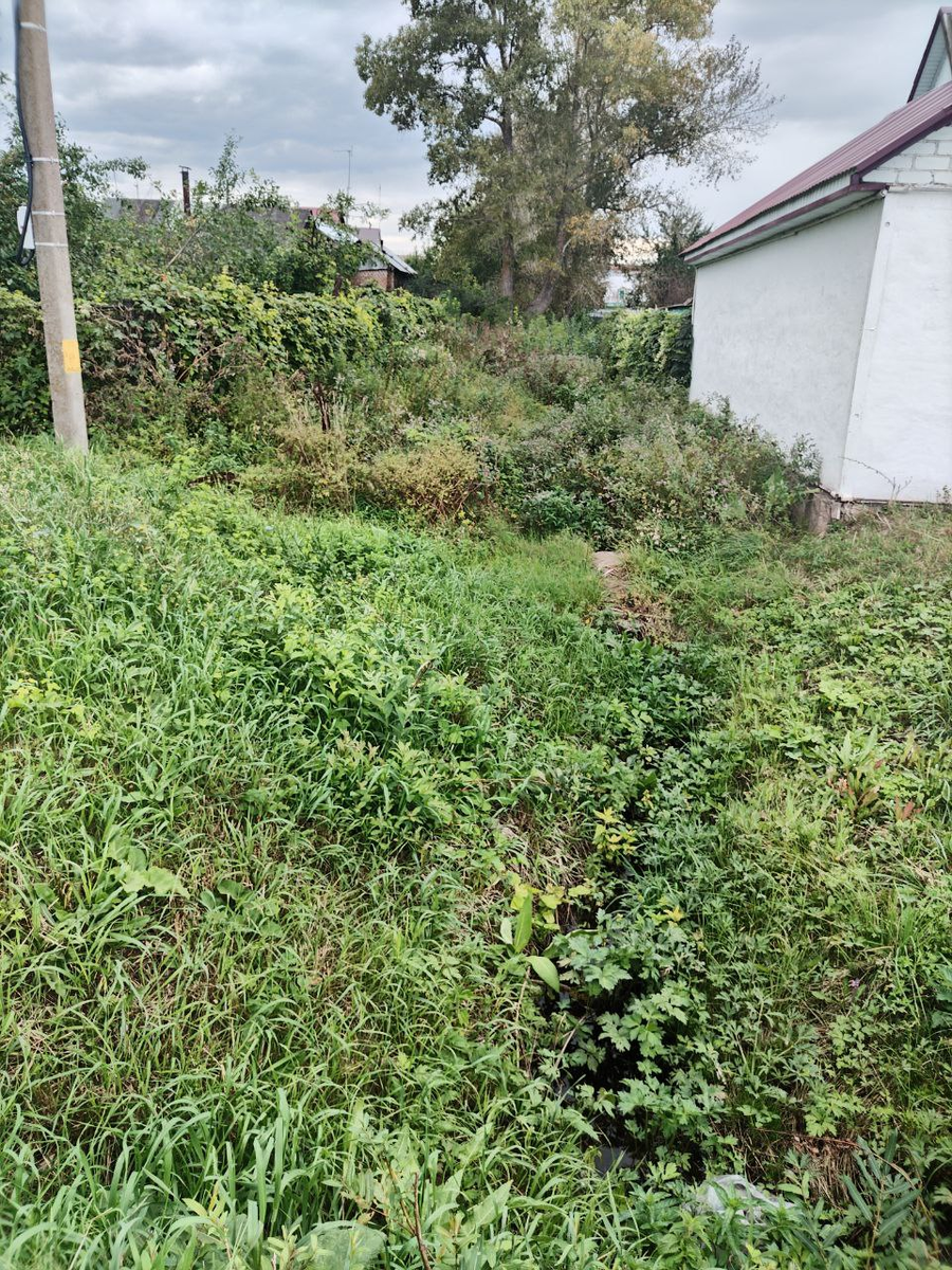 Фото автора.