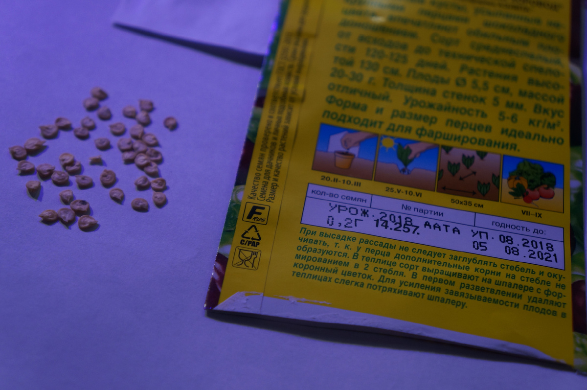 Фото: Зеленая леди, сад, семья и томатный сок