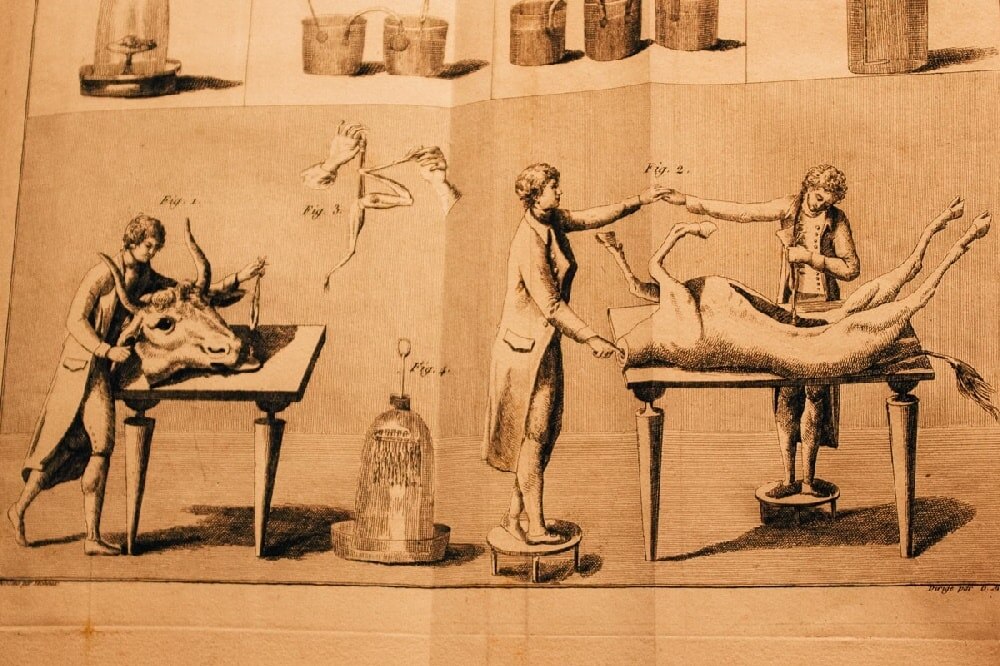 Гальванизм и «оживлению» тел с помощью электричества