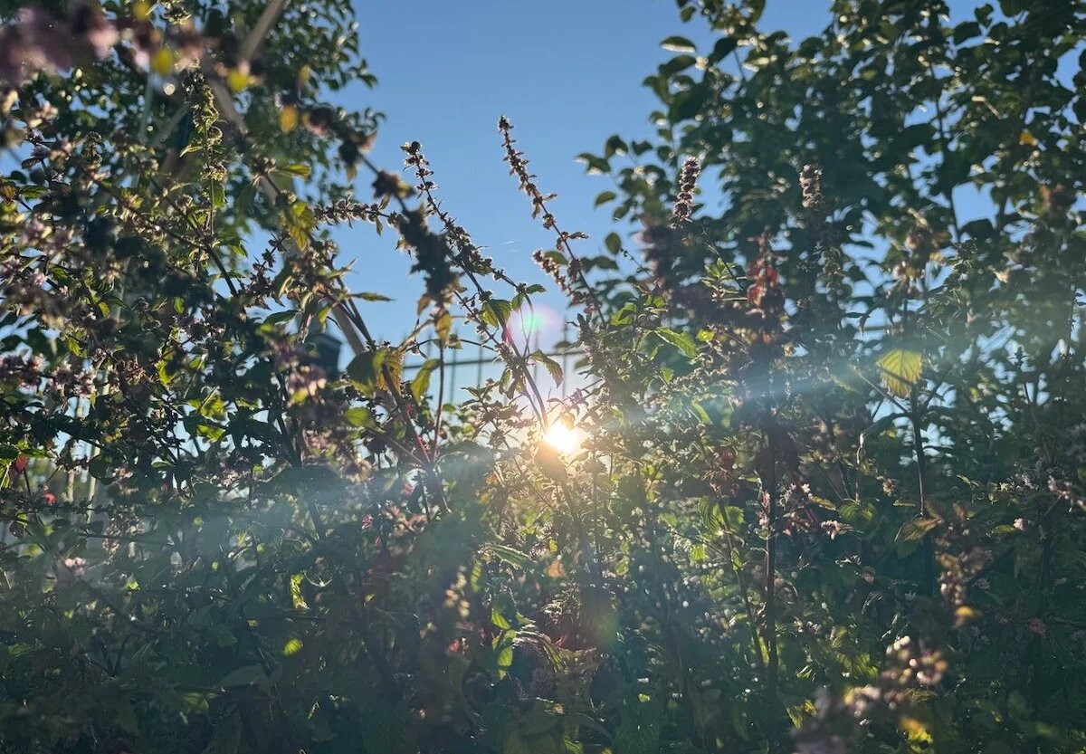 Фото: UfacityNews.ru