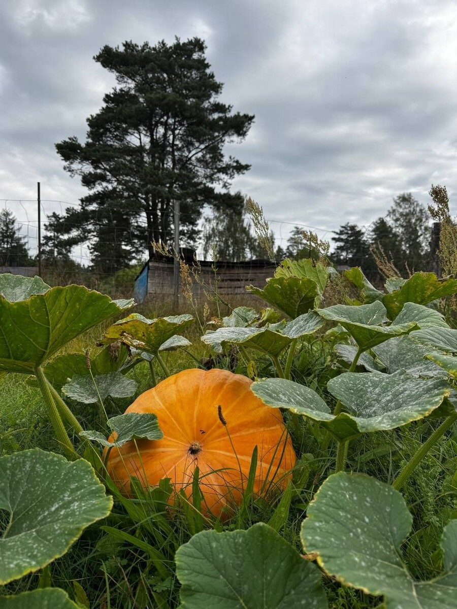    Агата Муцениеце. Источник: t.me/AgataMucenieceLife