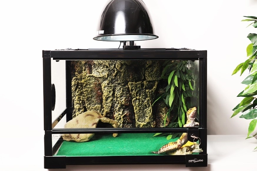 Сборные и разборные террариумы различных габаритов от бренда Repti-Zoo помогут подобрать идеальное жилище для любого питомца