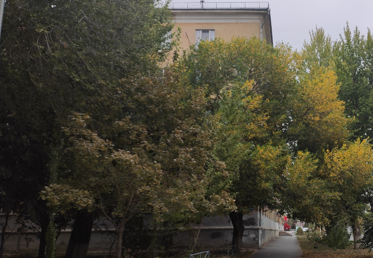 Постепенно осень разливает свои краски в городе