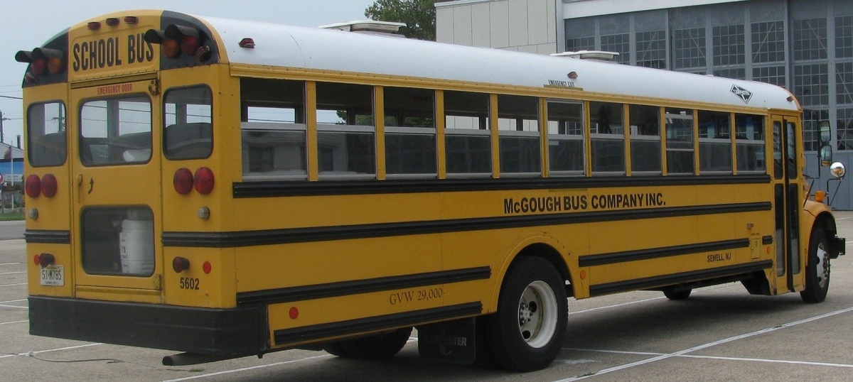 Источник фото: commons.wikimedia.org