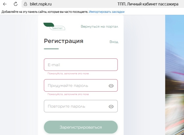 Так выглядела моя форма регистрации на сайте перевозчика. (Источник: https://bilet.nspk.ru)