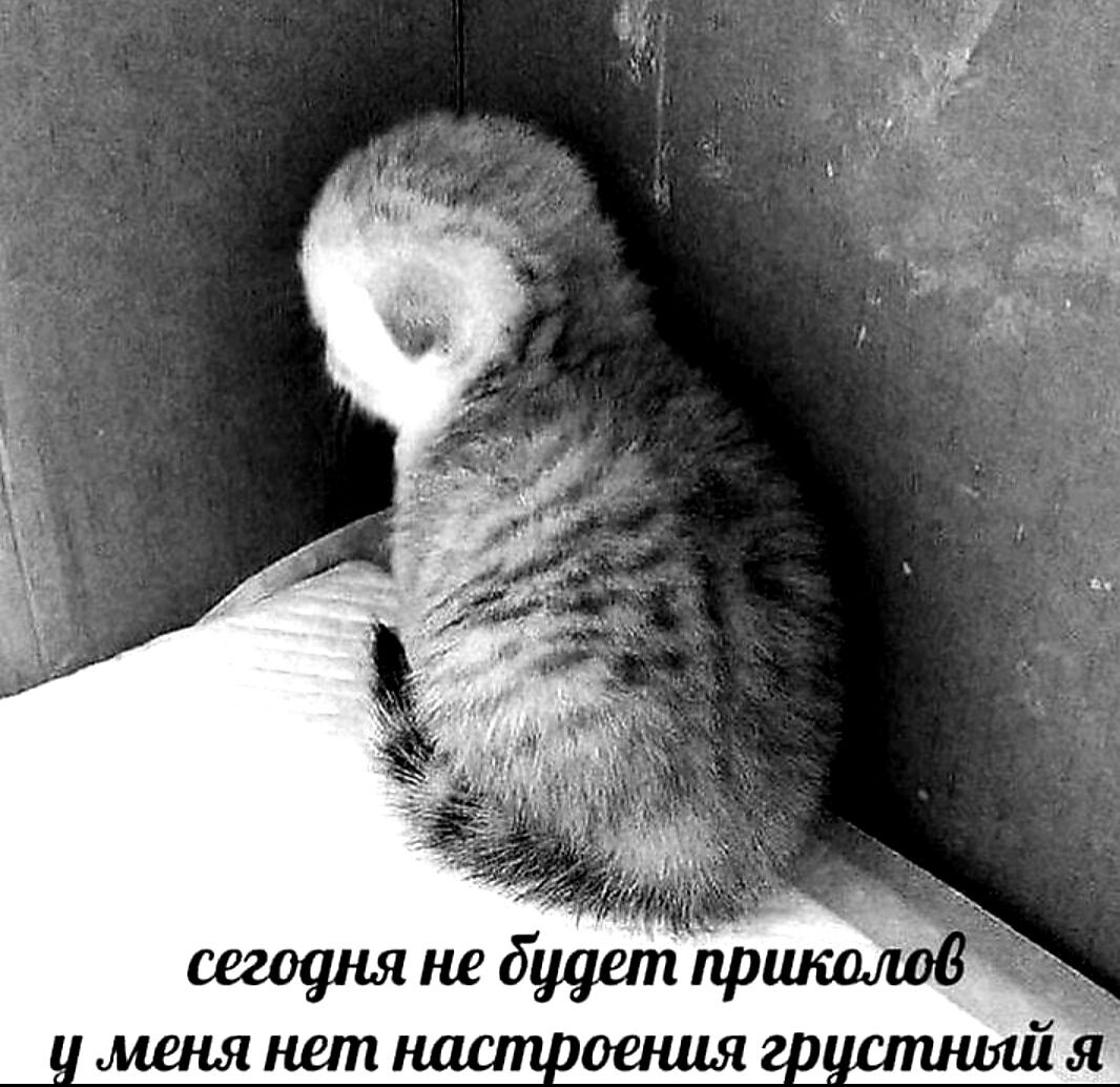 Интернет. Общий доступ