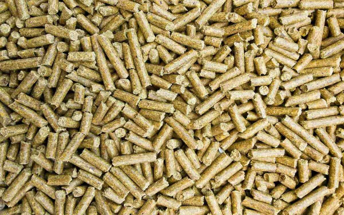    «Мираторг» согласовал кредитование белгородского предприятия на сумму в 67% стоимости его активов Фото – ru.freepik.com