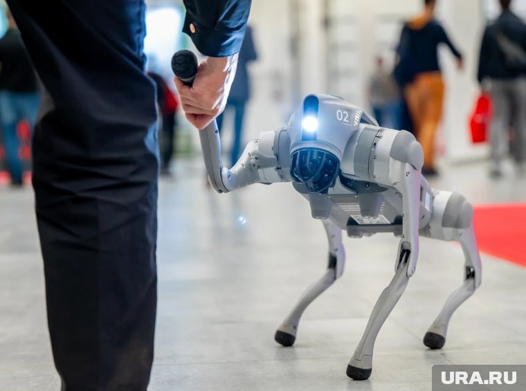    Посетителей выставки в Перми развлекали роботы