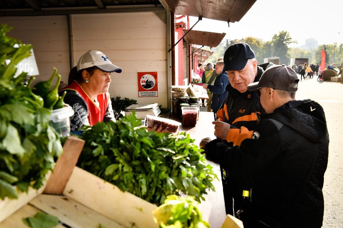    Фото: "Республика" / Оксана Кудряшова
