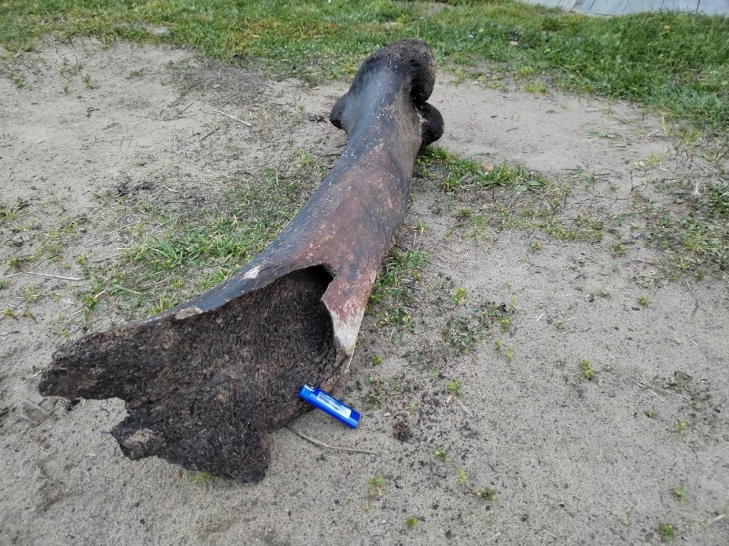 Фото предоставлены Михаилом Макаровым