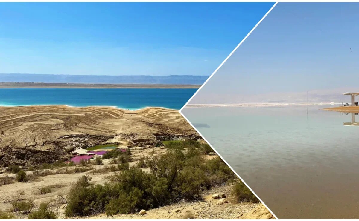    Забудьте все, что вы знали о Мертвом и Красном морях. Вот, что там происходит сейчас