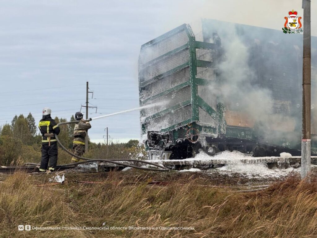    Фото: ГУ МЧС Елена Воронцова