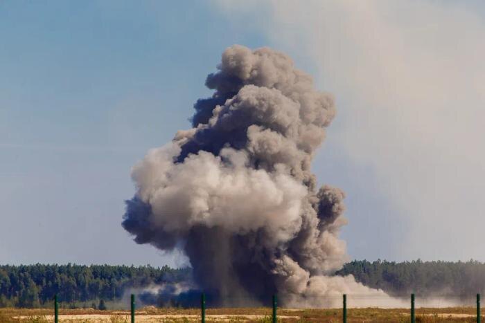 Обложка © Shutterstock / FOTODOM / Frolova_Elena