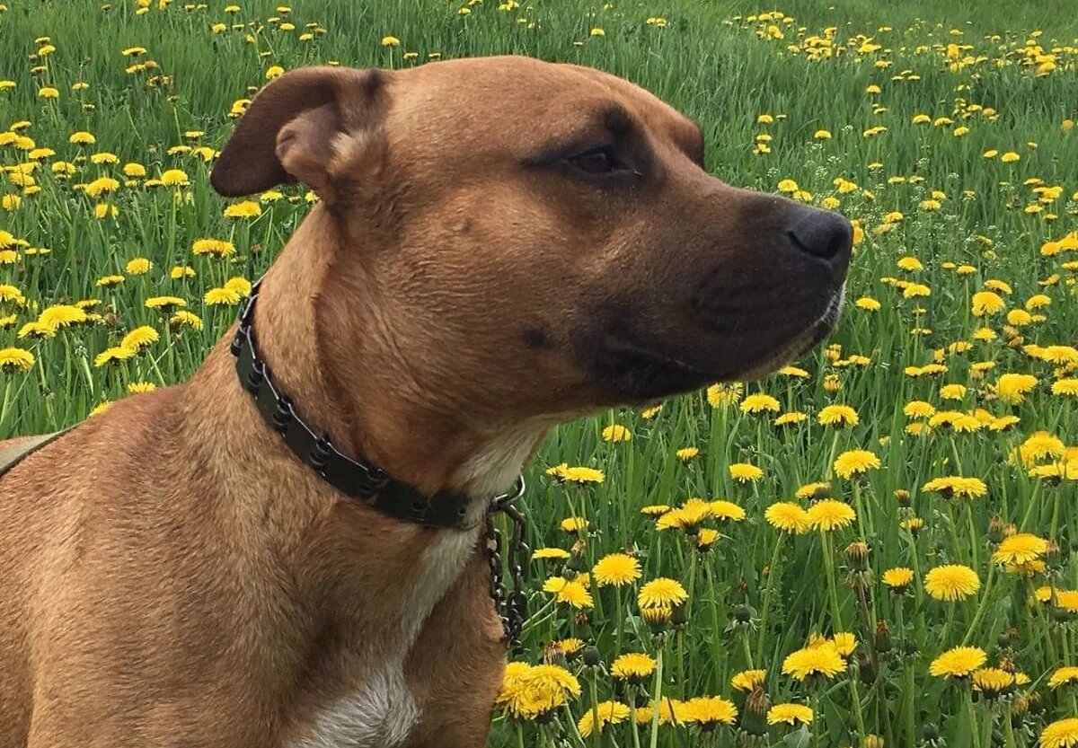 Фото: UfaTime.ru