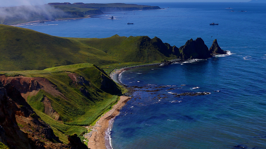    Фото: © РИА Новости/Екатерина Аристархова