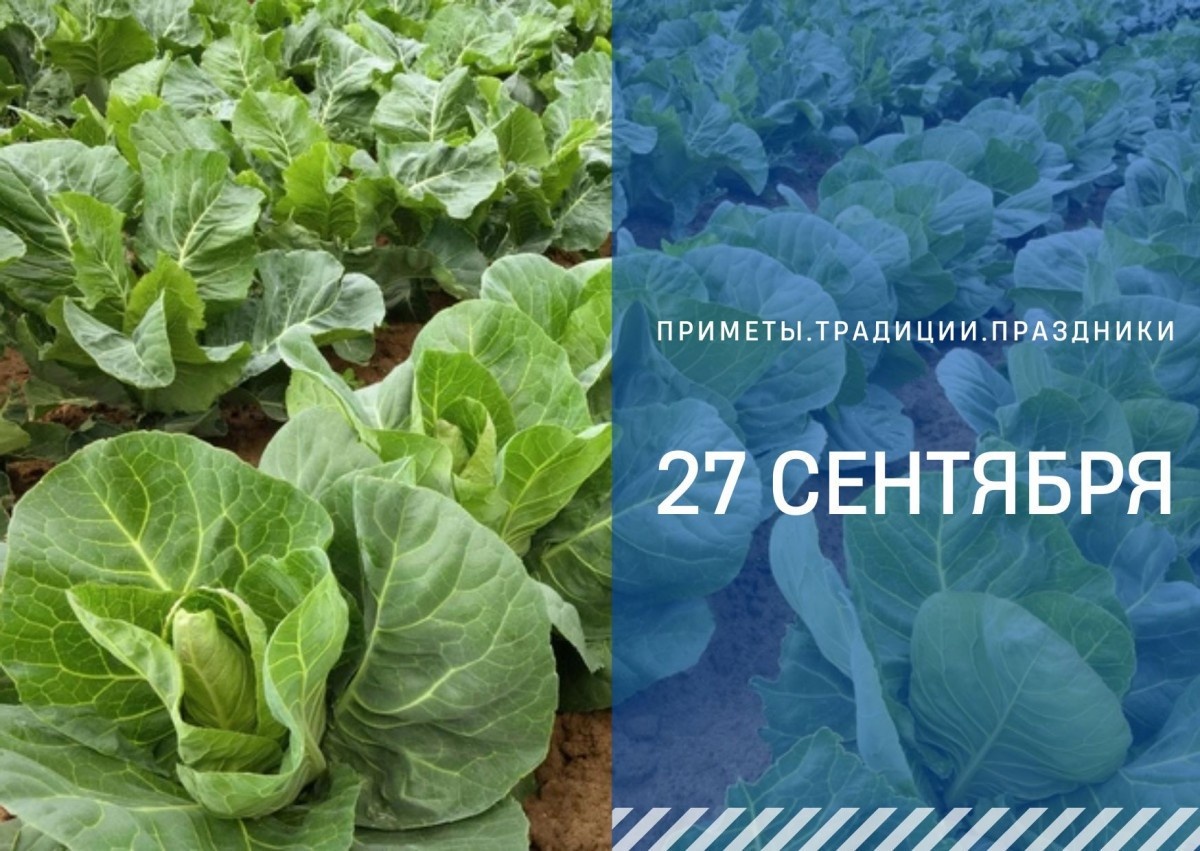   ГТРК "Ставрополье"