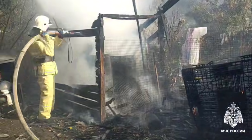 Фото: ГУ МЧС России по Курской области