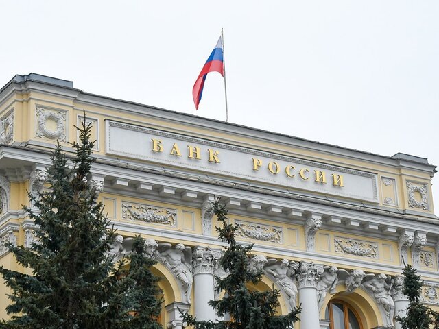    Фото: Москва 24/Никита Симонов