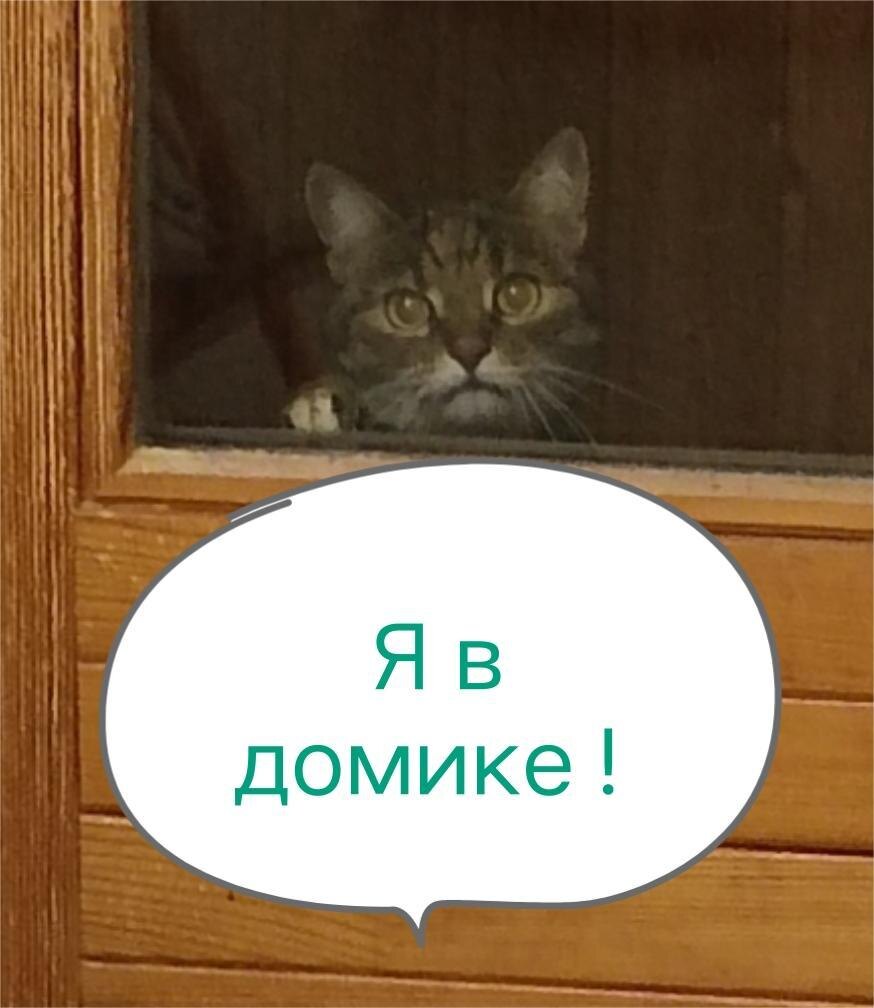 Изображение создано Автором статьи