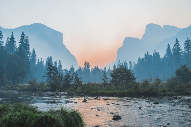 Источник: Unsplash