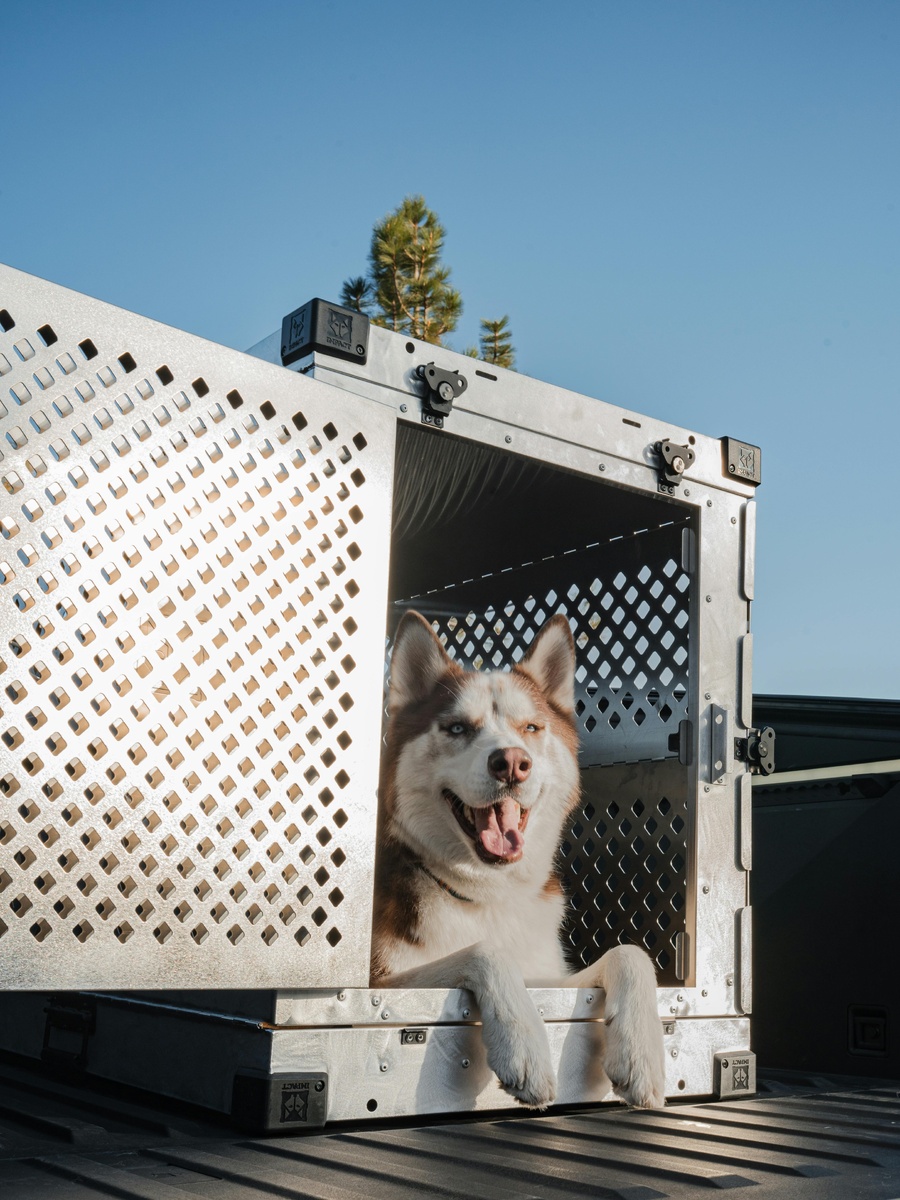   Impact Dog Crates - Pexels