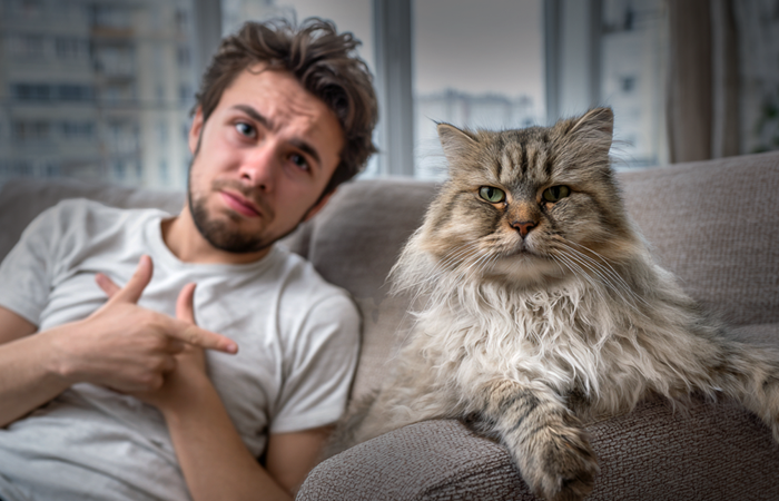 Как понять, что кошка вас ценит и выбрала вас своим человеком / Изображение: AlphaPet