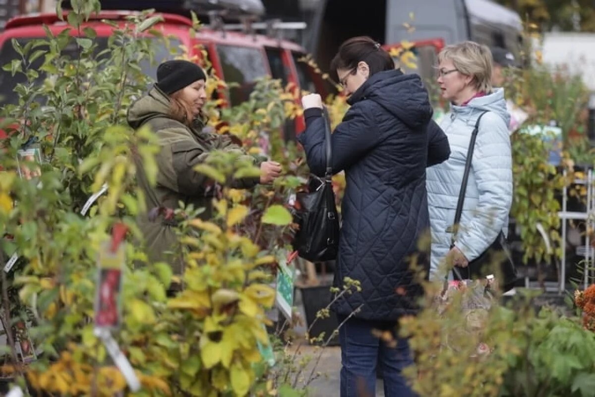    27 сентября в Псковской области пройдет шесть ярмарок