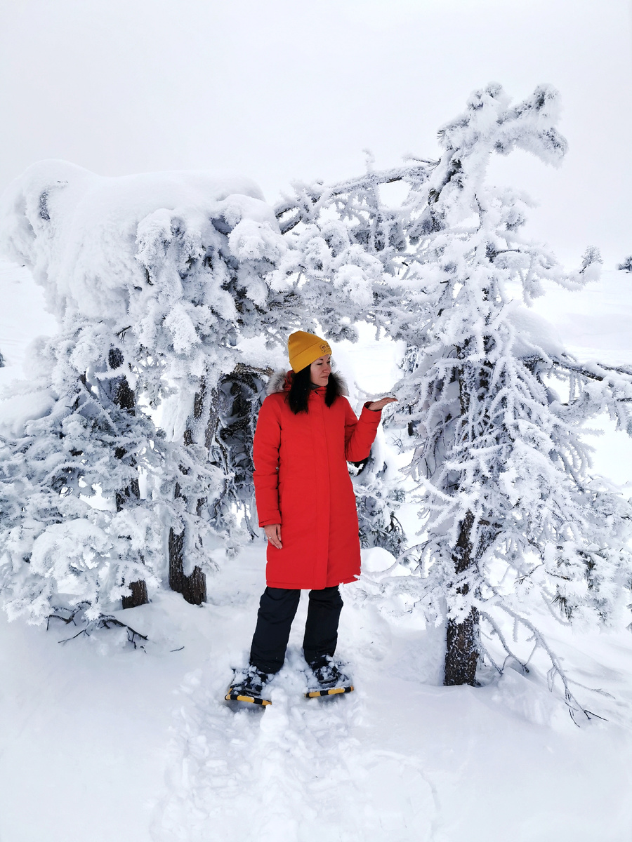 Кандалакша (Мурманская область)