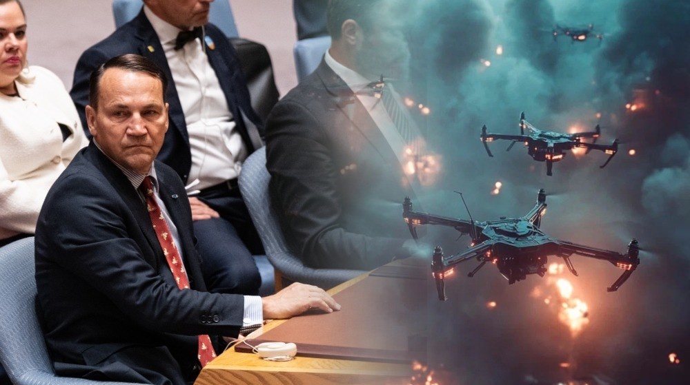 Фото: Lev Radin/Keystone Press Agency/Globallookpress. Коллаж Novorosinform