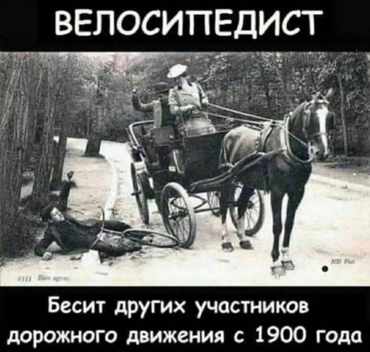 -19