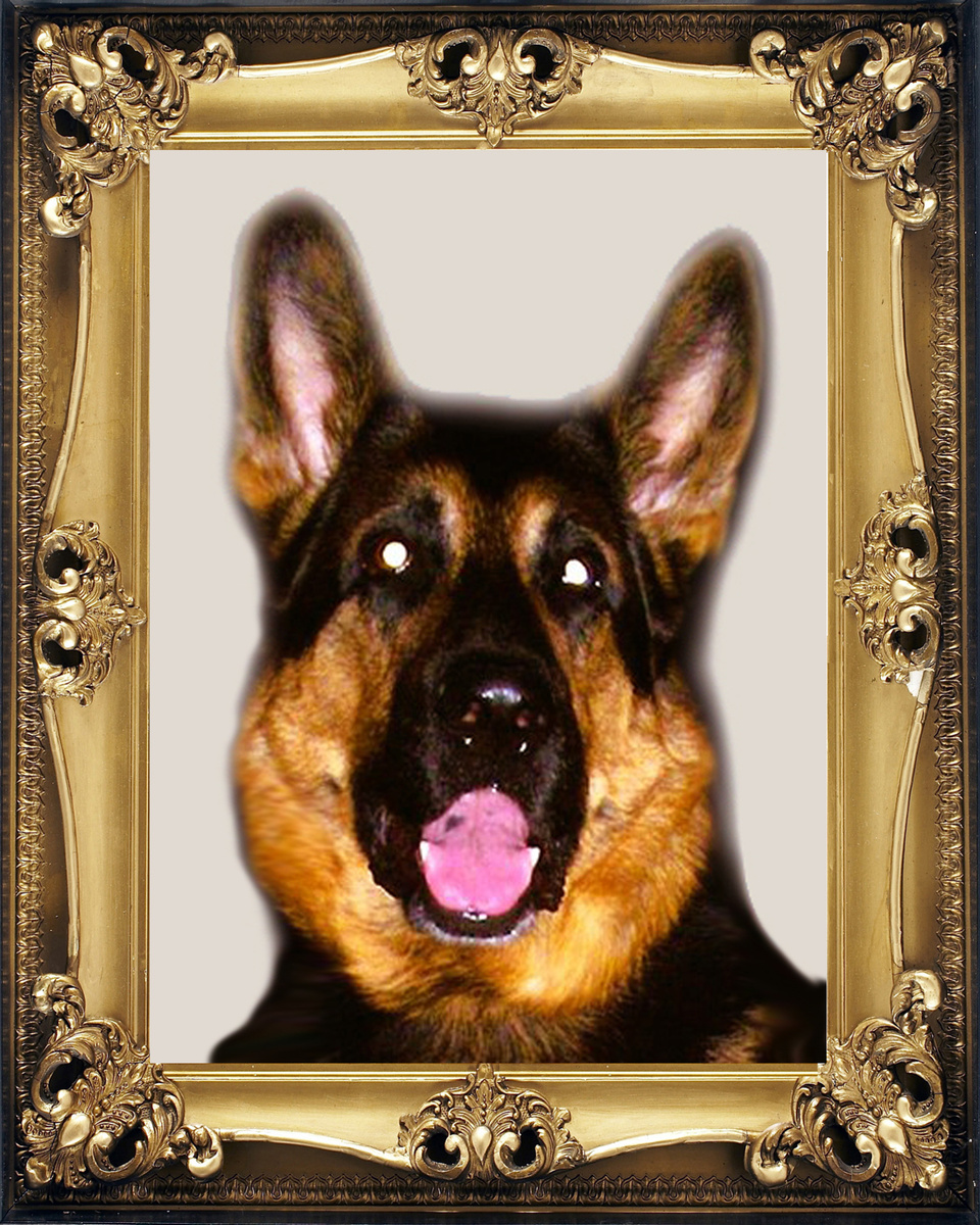 Фото из архива Ивановых и Рыжковых – НИКО (НИК)