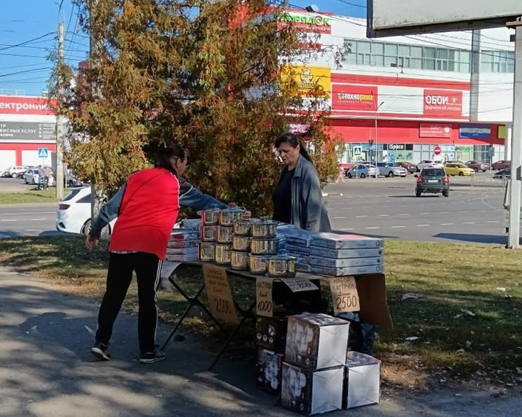     В Курске провели рейды против несанкционированной торговли