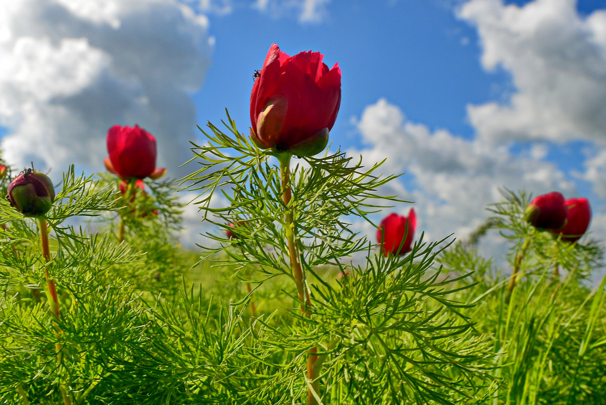 Меняя себя, мы меняем и мир. Как это видно по энергетическому полю