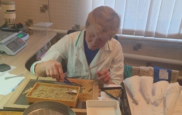    Фото: Служба по связям с общественностью филиала «Донецкий» Российского сельскохозяйственного центра