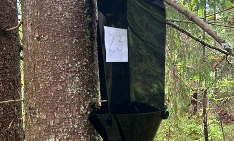    Фото: Северо-Западное межрегиональное управление Россельхознадзора