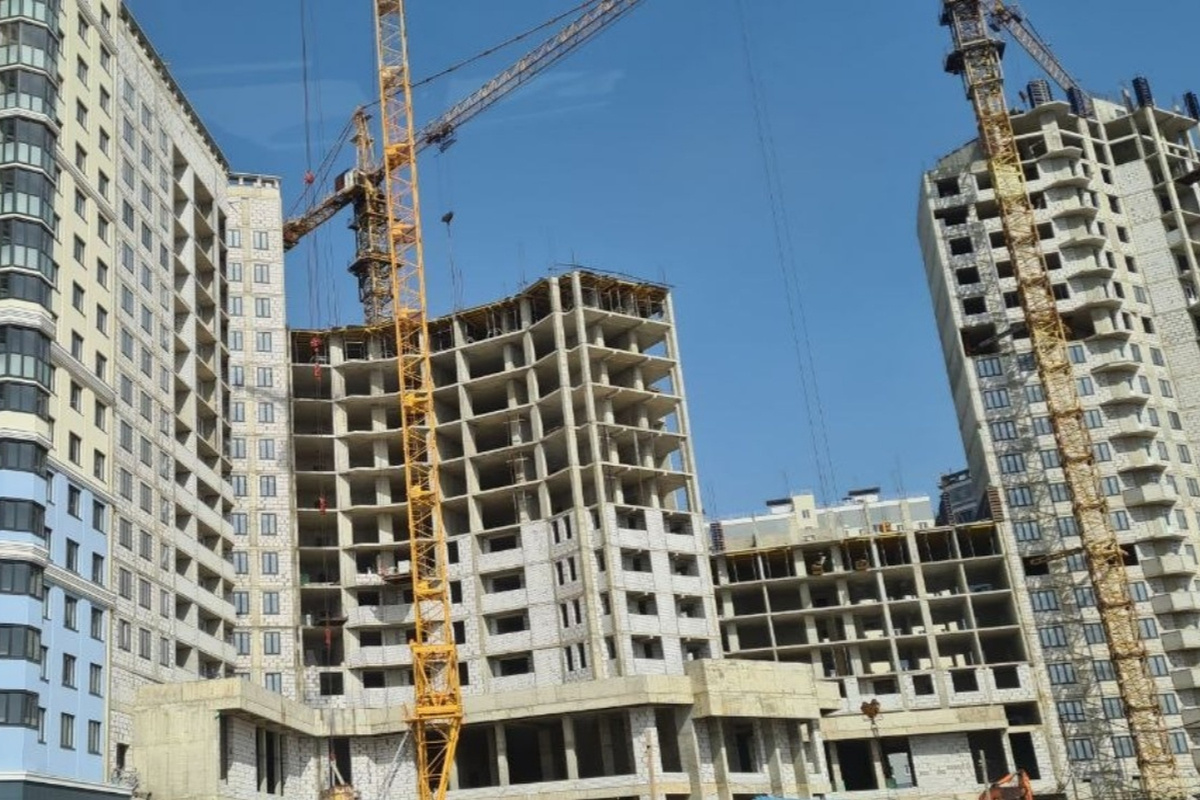    Фото: РБК Черноземье