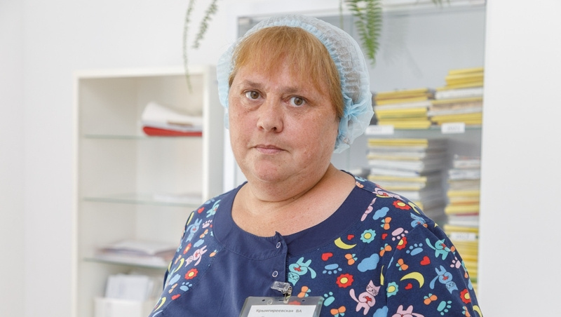     Фото: Дмитрий Ахмадуллин / / ИА «Победа26»