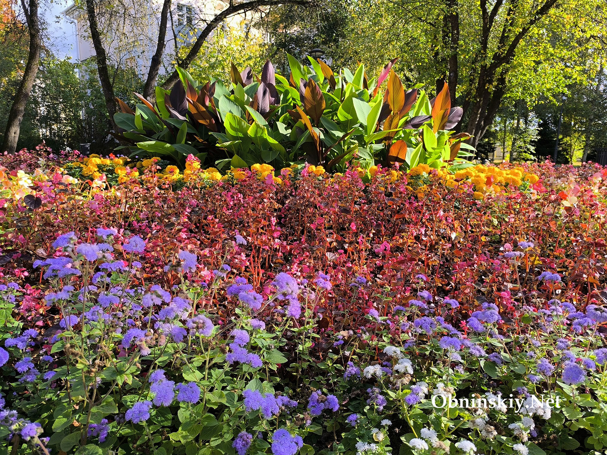сквер им. С.А. Кудрявцевой