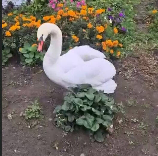 Фото: Госкомитет РТ по биоресурсам