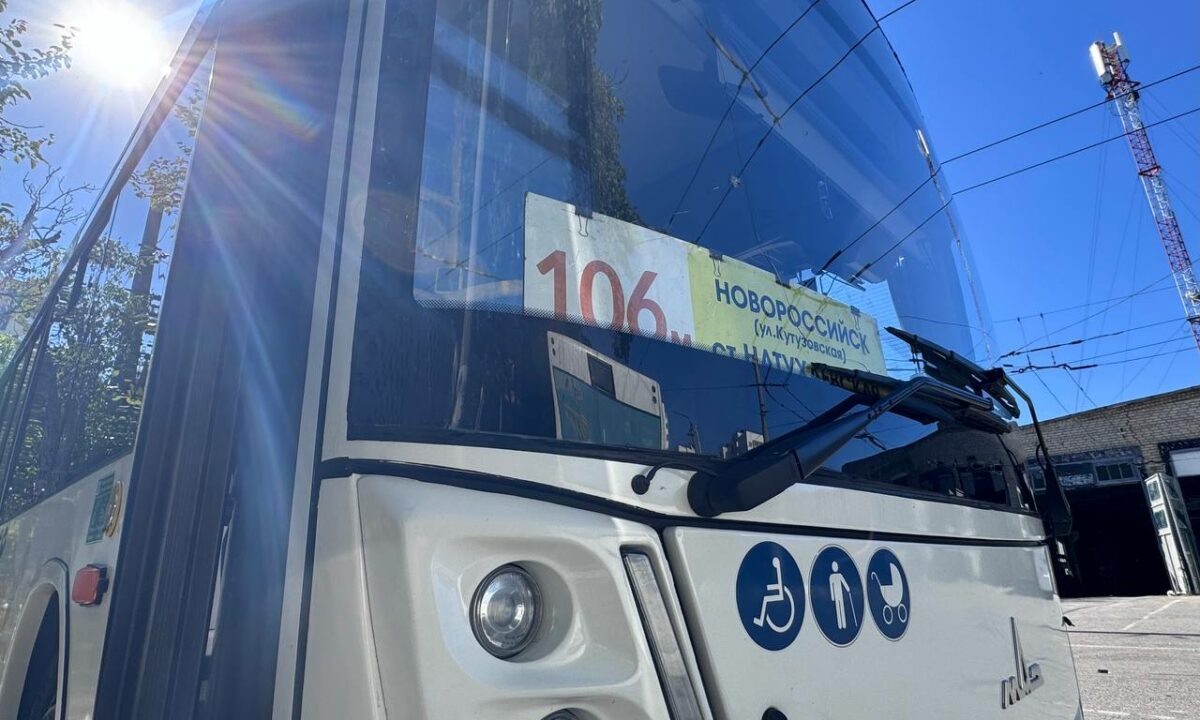    Фото t.me/mup_mptn_nvrsk