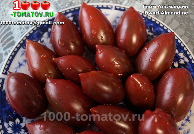 Томат Гном Альмандин Dwarf Almandine  фото 2