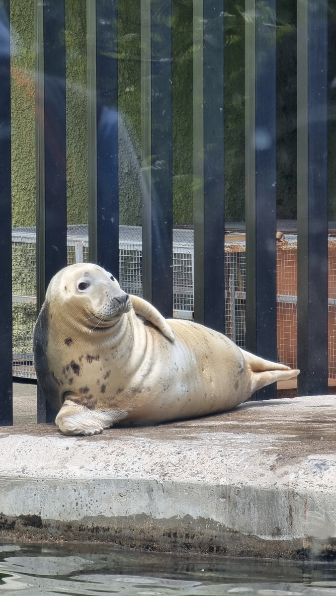 Московский зоопарк