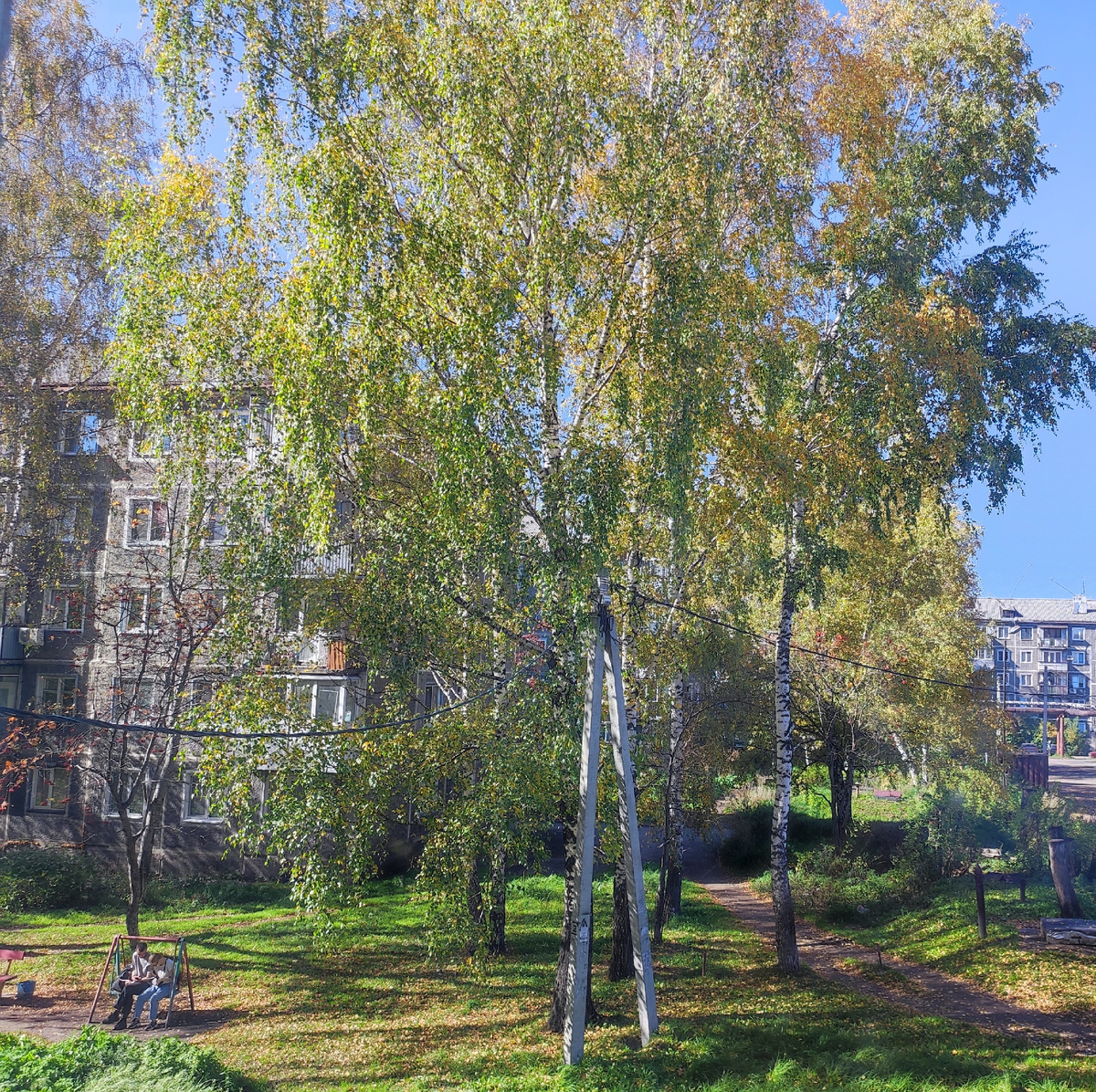 Фото автора 