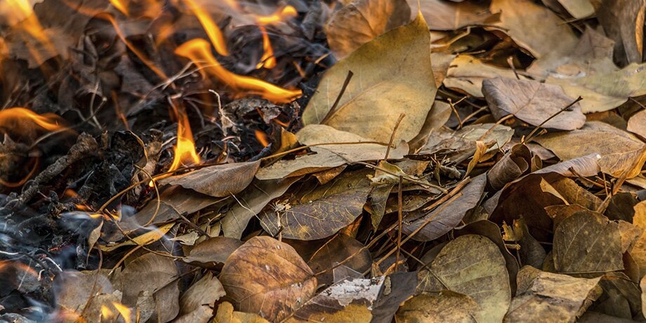    Фото: 123RF/devil23